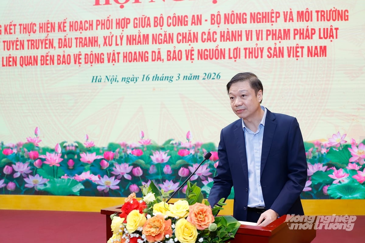 Cục trưởng Cục Lâm nghiệp và Kiểm lâm Trần Quang Bảo phát biểu tại Hội nghị. Ảnh: Khương Trung. Cục trưởng Cục Lâm nghiệp và Kiểm lâm Trần Quang Bảo phát biểu tại Hội nghị. Ảnh: Khương Trung.