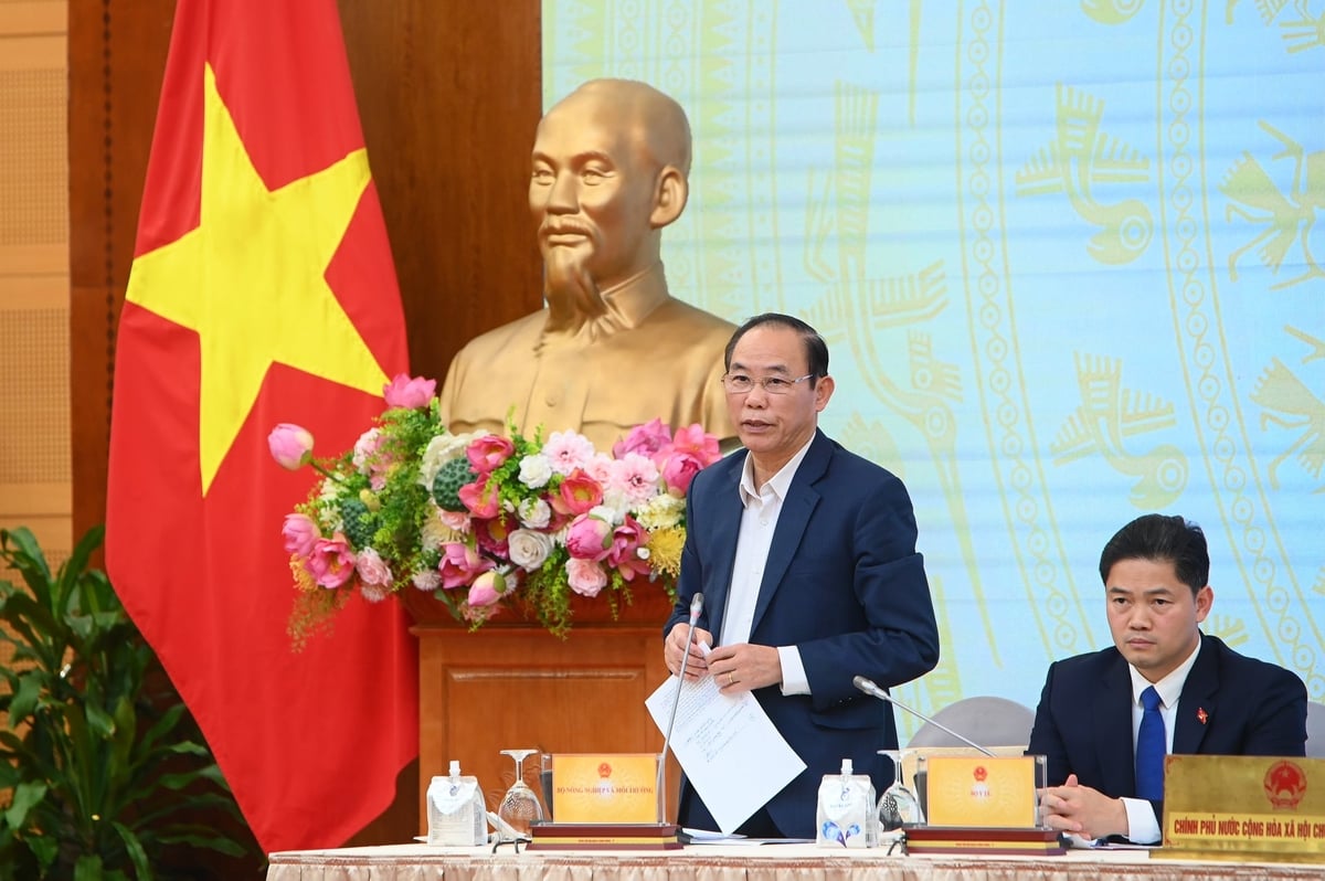 Thứ trưởng Ph&ugrave;ng Đức Tiến trả lời về vấn đề &ocirc; nhiễm kh&ocirc;ng kh&iacute;. Ảnh: T&ugrave;ng Đinh.