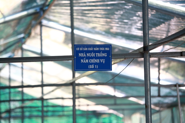 Trồng nấm hữu cơ: Mô hình hiệu quả giúp người dân thoát nghèo - Ảnh 4. Trồng nấm hữu cơ: Mô hình hiệu quả giúp người dân thoát nghèo - Ảnh 4.