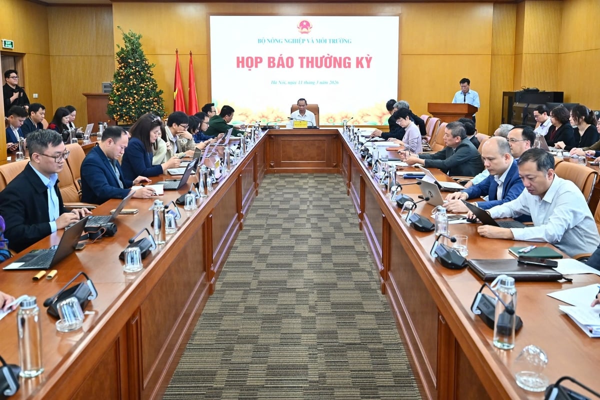 Sáng 11/3, Thứ trưởng Phùng Đức Tiến chủ trì Họp báo kết quả sản xuất, xuất nhập khẩu nông lâm thủy sản (NLTS) 2 tháng đầu năm 2026. Ảnh: Tùng Đinh.