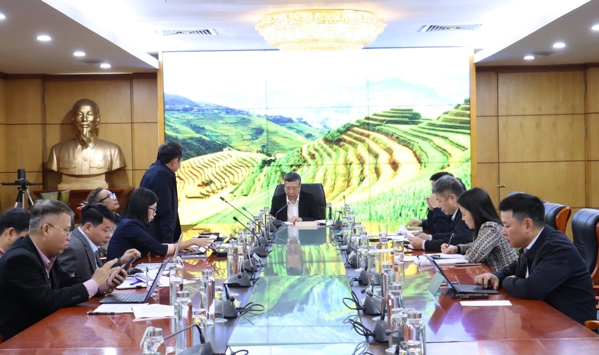 Hội nghị tổng kết Chương trình giống giai đoạn 2021-2025 và đề xuất danh mục dự án nhiệm vụ 'Phát triển sản xuất giống' giai đoạn 2027-2030 dự kiến sẽ diễn ra vào tháng 1/2026. Ảnh: Nguyễn Thủy. Hội nghị tổng kết Chương trình giống giai đoạn 2021-2025 và đề xuất danh mục dự án nhiệm vụ 'Phát triển sản xuất giống' giai đoạn 2027-2030 dự kiến sẽ diễn ra vào tháng 1/2026. Ảnh: Nguyễn Thủy.