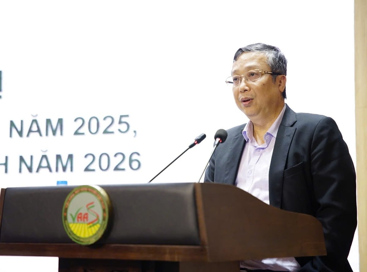 Thứ trưởng Ho&agrave;ng Trung kết luận tại Hội nghị. Ảnh: Linh Linh.