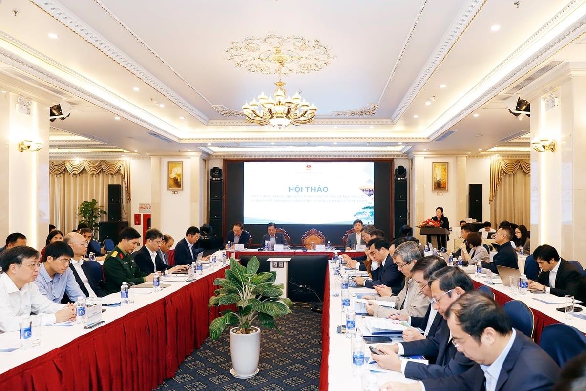 Toàn cảnh hội thảo sáng 30/11 tại Hải Phòng. Ảnh: Khương Trung. Toàn cảnh hội thảo sáng 30/11 tại Hải Phòng. Ảnh: Khương Trung.