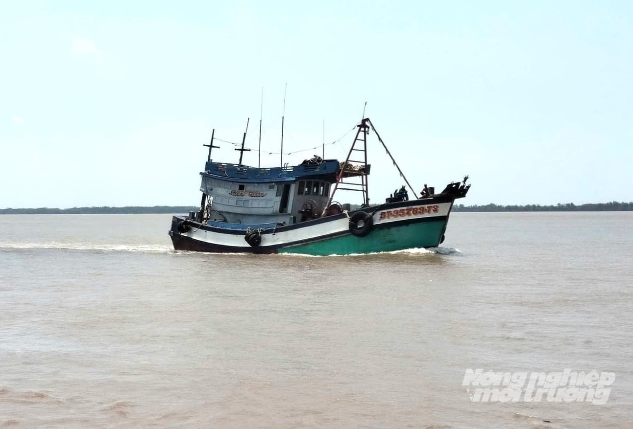 Vĩnh Long hiện quản lý 4.550 tàu cá. Ảnh: Minh Đảm. Vĩnh Long hiện quản lý 4.550 tàu cá. Ảnh: Minh Đảm.