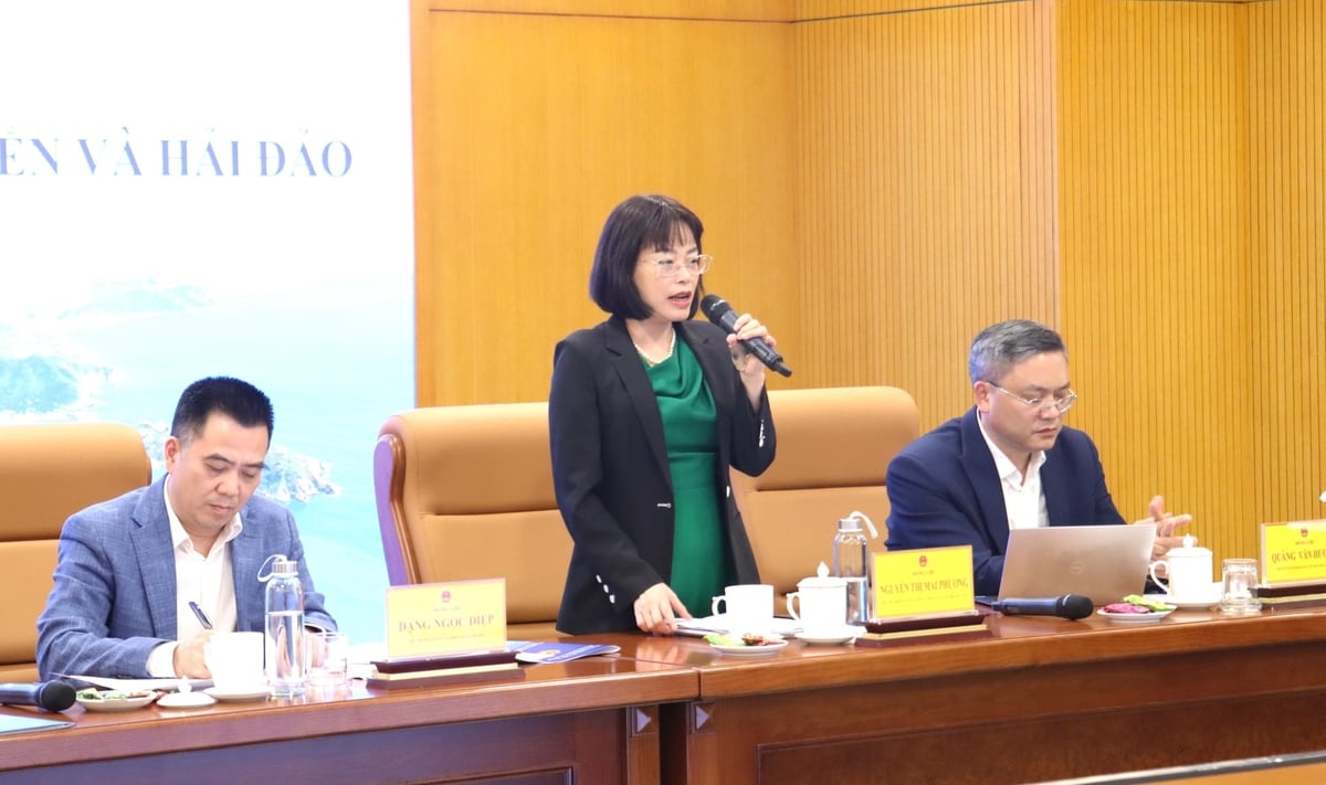 Phó Chủ nhiệm Ủy ban Pháp luật và Tư pháp của Quốc hội Nguyễn Thị Mai Phương đề nghị cần tiếp tục rà soát, bổ sung các chủ trương của Đảng có liên quan và đánh giá tác động của các chính sách. Ảnh: Trường Giang.