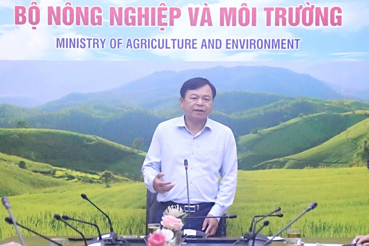 Thứ trưởng Nguyễn Hoàng Hiệp phát biểu tại cuộc họp. Ảnh: Trung Hiếu.