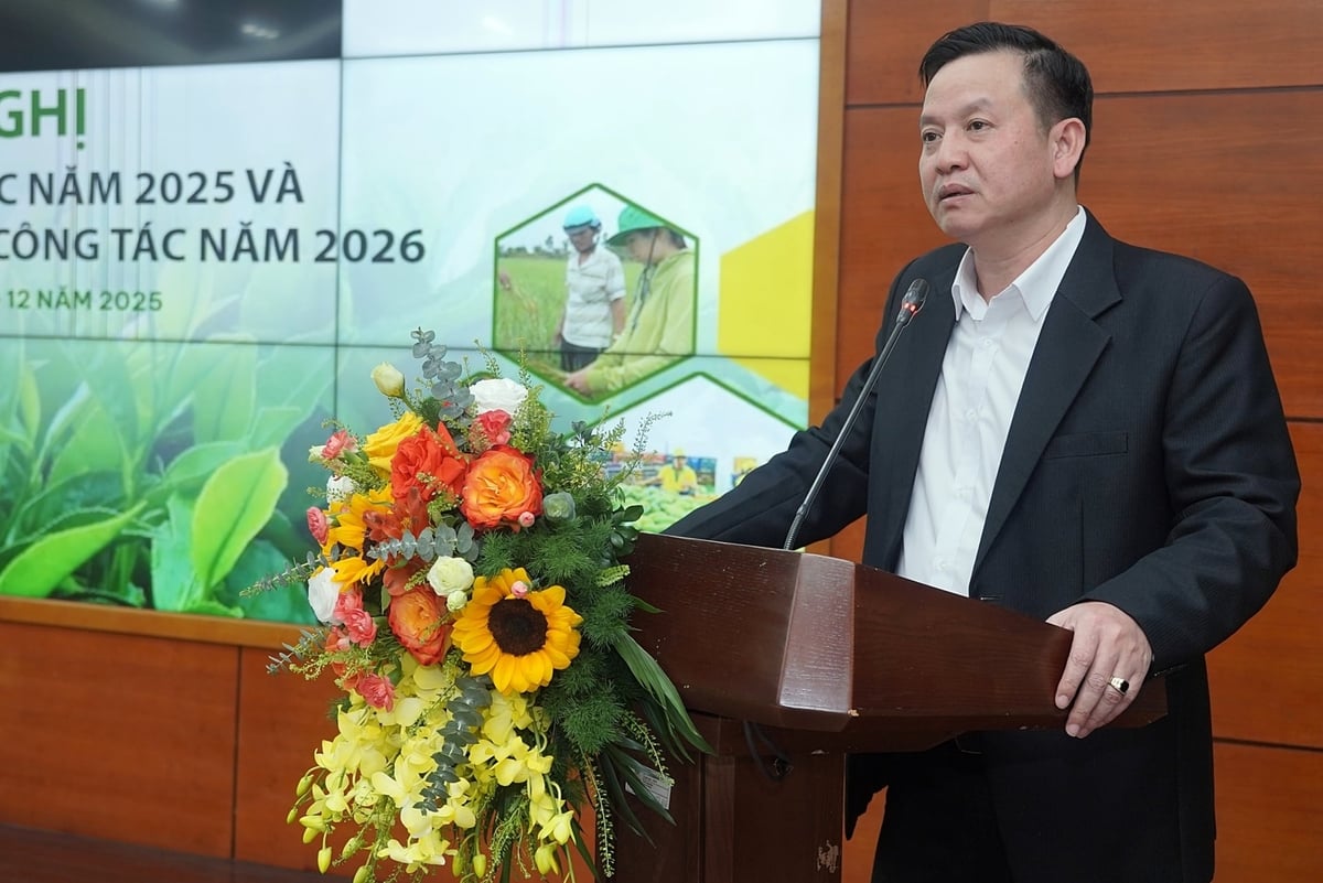 Cục trưởng Huỳnh Tấn Đạt x&aacute;c định ưu ti&ecirc;n ho&agrave;n thiện hệ thống thể chế trong năm 2026. Ảnh: Bảo Thắng.