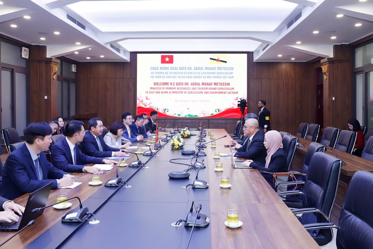 Bộ trưởng Bộ Nông nghiệp và Môi trường Trần Đức Thắng đã tiếp và làm việc với Bộ trưởng Tài nguyên cơ bản và Du lịch Brunei Darussalam Dato DR. Abdul Manaf Metussin. Ảnh: Khương Trung. Bộ trưởng Bộ Nông nghiệp và Môi trường Trần Đức Thắng đã tiếp và làm việc với Bộ trưởng Tài nguyên cơ bản và Du lịch Brunei Darussalam Dato DR. Abdul Manaf Metussin. Ảnh: Khương Trung.