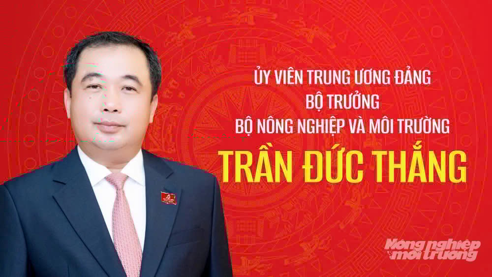 Bộ trưởng Bộ Nông nghiệp và Môi trường Trần Đức Thắng tái đắc cử vào Ban chấp hành Trung ương Đảng khoá XIV. Ảnh: Tiến Thành. Bộ trưởng Bộ Nông nghiệp và Môi trường Trần Đức Thắng tái đắc cử vào Ban chấp hành Trung ương Đảng khoá XIV. Ảnh: Tiến Thành.