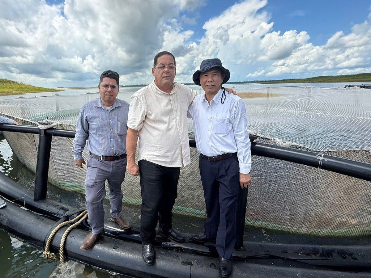 Thứ trưởng Bộ NN-MT Phùng Đức Tiến tới thăm lồng nuôi cá rô phi cùng Thứ trưởng Thứ nhất Bộ Công nghiệp Thực phẩm (ở giữa) và Thứ trưởng Bộ Nông nghiệp Cuba (bên trái, ngoài cùng). Ảnh: ICD. 