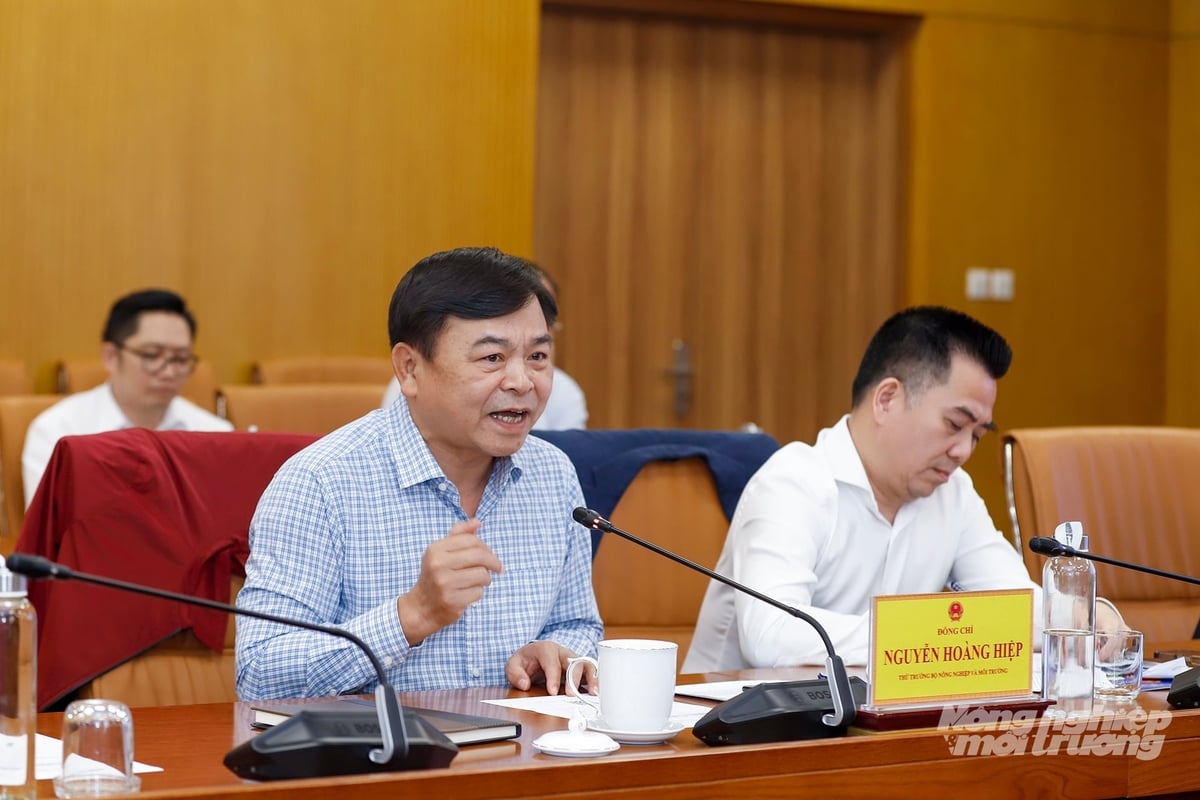 Thứ trưởng Nguyễn Hoàng Hiệp phát biểu tại cuộc họp. Ảnh: Khương Trung. Thứ trưởng Nguyễn Hoàng Hiệp phát biểu tại cuộc họp. Ảnh: Khương Trung.