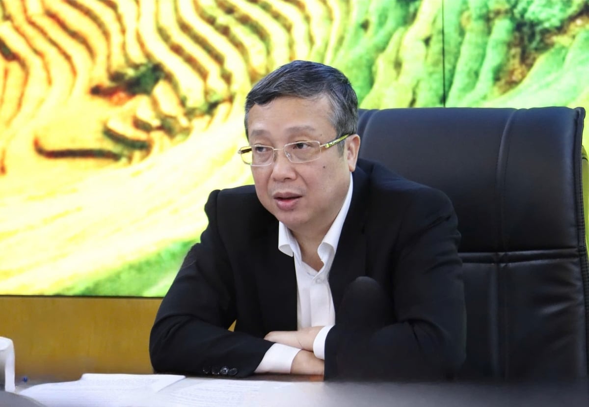 Thứ trưởng Hoàng Trung chủ trì cuộc họp nghe các đơn vị báo cáo công tác chuẩn bị sơ kết Chương trình giống giai đoạn 2021-2025. Ảnh: Nguyễn Thủy. Thứ trưởng Hoàng Trung chủ trì cuộc họp nghe các đơn vị báo cáo công tác chuẩn bị sơ kết Chương trình giống giai đoạn 2021-2025. Ảnh: Nguyễn Thủy.