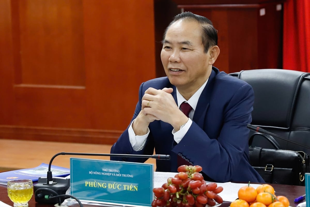 Thứ trưởng Phùng Đức Tiến dự và phát biểu chỉ đạo Hội nghị tổng kết công tác năm 2025 và triển khai nhiệm vụ năm 2026 của Báo Nông nghiệp và Môi trường. Ảnh: Tùng Đinh. Thứ trưởng Phùng Đức Tiến dự và phát biểu chỉ đạo Hội nghị tổng kết công tác năm 2025 và triển khai nhiệm vụ năm 2026 của Báo Nông nghiệp và Môi trường. Ảnh: Tùng Đinh.