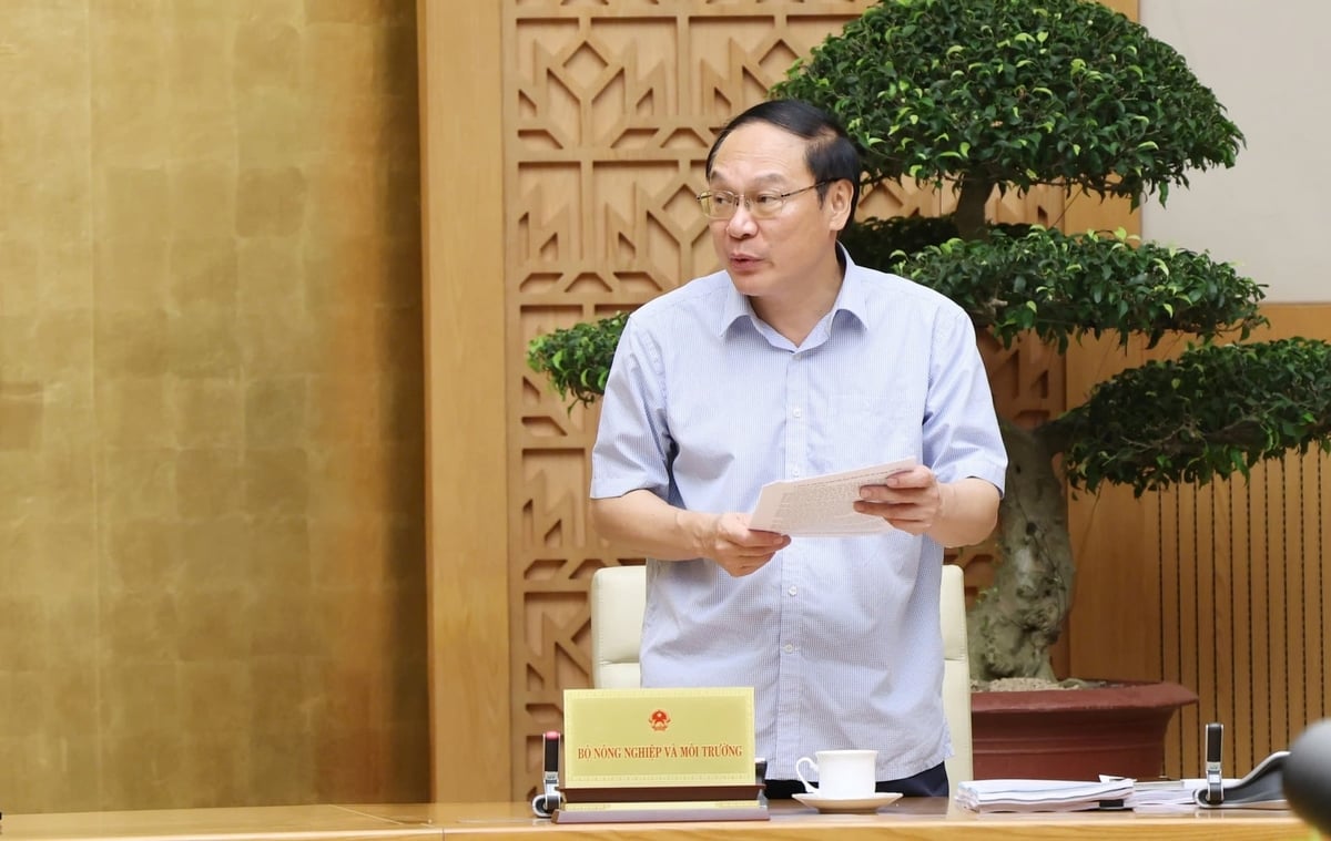 Thứ trưởng Bộ NN&MT Lê Công Thành báo cáo. Ảnh: VGP/Gia Huy. Thứ trưởng Bộ NN&MT Lê Công Thành báo cáo. Ảnh: VGP/Gia Huy.