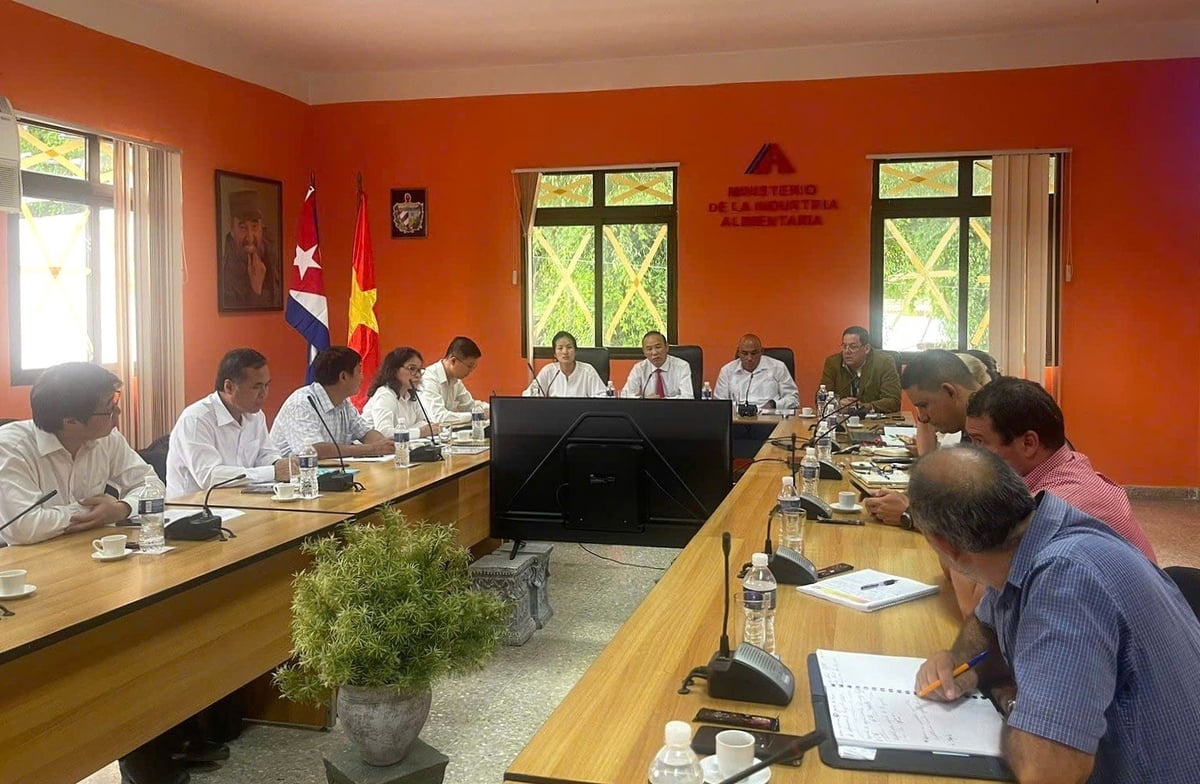 Buổi làm việc song phương giữa Bộ NN-MT và Bộ Công nghiệp và Thực phẩm Cuba. Ảnh: ICD. 