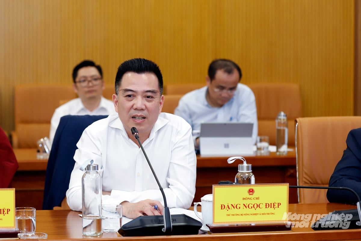 Thứ trưởng Đặng Ngọc Điệp phát biểu tại cuộc họp. Ảnh: Khương Trung. Thứ trưởng Đặng Ngọc Điệp phát biểu tại cuộc họp. Ảnh: Khương Trung.