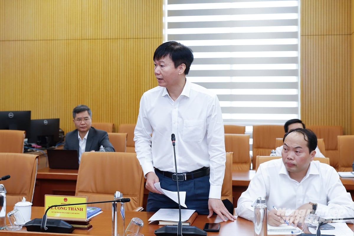 Vụ trưởng Vụ Kế hoạch - Tài chính Lê Văn Thành báo cáo kịch bản tăng trưởng của ngành nhằm ứng phó với những tác động từ xung đột Trung Đông và các biến động kinh tế quốc tế. Ảnh: Khương Trung. Vụ trưởng Vụ Kế hoạch - Tài chính Lê Văn Thành báo cáo kịch bản tăng trưởng của ngành nhằm ứng phó với những tác động từ xung đột Trung Đông và các biến động kinh tế quốc tế. Ảnh: Khương Trung.