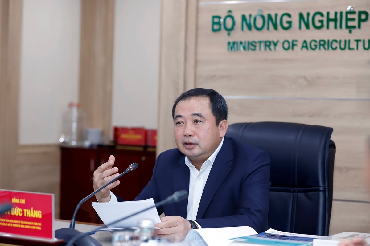 Bộ trưởng Trần Đức Thắng làm việc với Hiệp hội Nuôi biển Việt Nam, tập trung bàn thảo một vấn đề cốt lõi. Ảnh: Khương Trung. Bộ trưởng Trần Đức Thắng làm việc với Hiệp hội Nuôi biển Việt Nam, tập trung bàn thảo một vấn đề cốt lõi. Ảnh: Khương Trung.