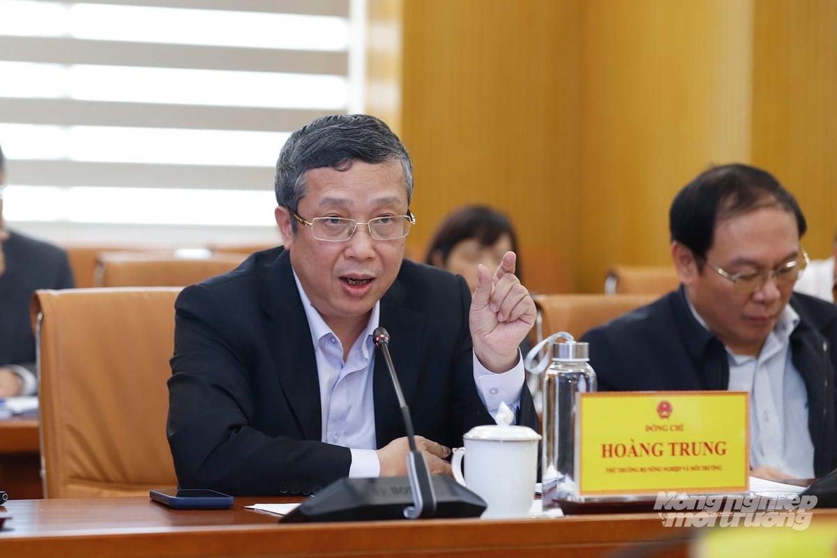 Thứ trưởng Hoàng Trung cho rằng mục tiêu của cuộc họp là nhận diện rõ các khó khăn và xây dựng giải pháp ứng phó kịp thời, thay vì chỉ tập trung vào kế hoạch tăng trưởng chung của ngành. Ảnh: Khương Trung. Thứ trưởng Hoàng Trung cho rằng mục tiêu của cuộc họp là nhận diện rõ các khó khăn và xây dựng giải pháp ứng phó kịp thời, thay vì chỉ tập trung vào kế hoạch tăng trưởng chung của ngành. Ảnh: Khương Trung.