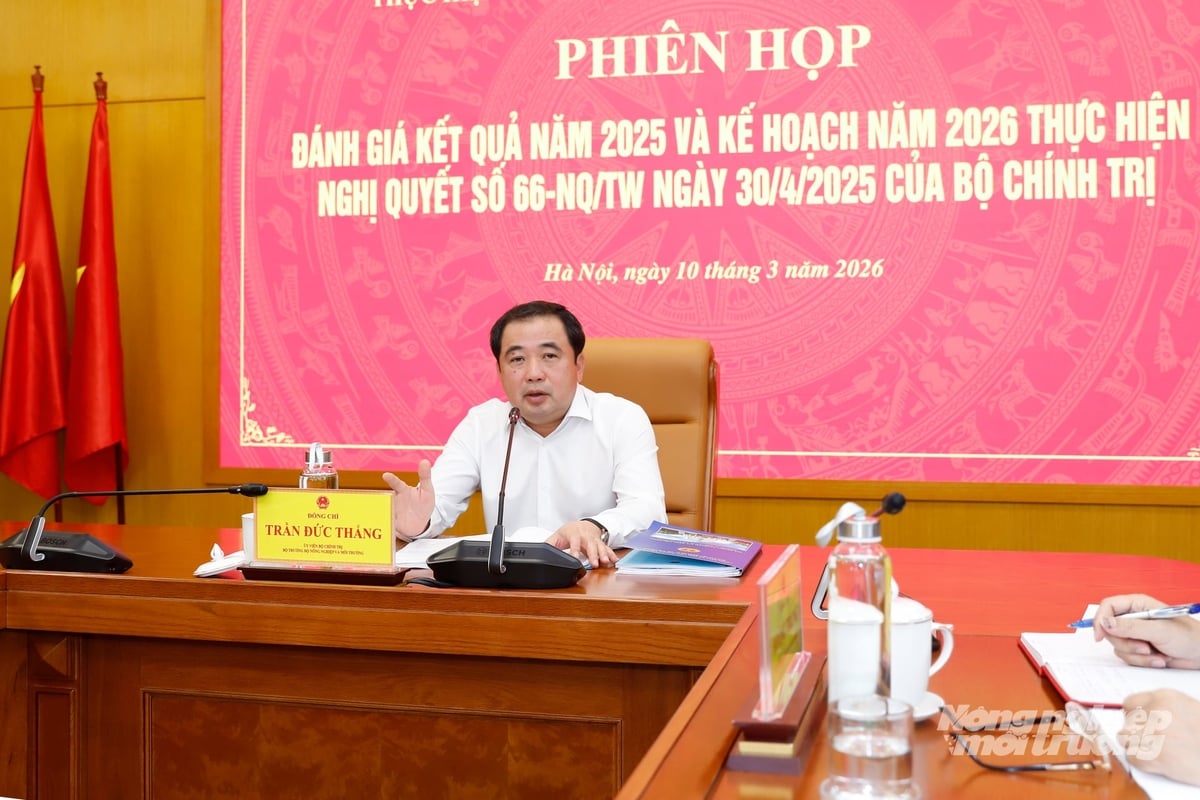 Ủy viên Bộ Chính trị, Bộ trưởng Bộ Nông nghiệp và Môi trường Trần Đức Thắng chủ trì phiên họp Ban Chỉ đạo của Bộ nhằm đánh giá kết quả thực hiện Nghị quyết 66-NQ/TW năm 2025 và triển khai kế hoạch năm 2026. Ảnh: Khương Trung. Ủy viên Bộ Chính trị, Bộ trưởng Bộ Nông nghiệp và Môi trường Trần Đức Thắng chủ trì phiên họp Ban Chỉ đạo của Bộ nhằm đánh giá kết quả thực hiện Nghị quyết 66-NQ/TW năm 2025 và triển khai kế hoạch năm 2026. Ảnh: Khương Trung.
