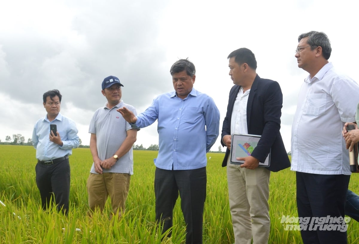 Thứ trưởng Trần Thanh Nam cùng các đại biểu đánh giá thực tế cánh đồng ứng dụng công nghệ thông minh thực hành ướt khô xen kẽ (AWD) tại Hợp tác xã Dịch vụ Nông nghiệp Thanh niên Phú Hòa. Ảnh: Trung Chánh. Thứ trưởng Trần Thanh Nam cùng các đại biểu đánh giá thực tế cánh đồng ứng dụng công nghệ thông minh thực hành ướt khô xen kẽ (AWD) tại Hợp tác xã Dịch vụ Nông nghiệp Thanh niên Phú Hòa. Ảnh: Trung Chánh.