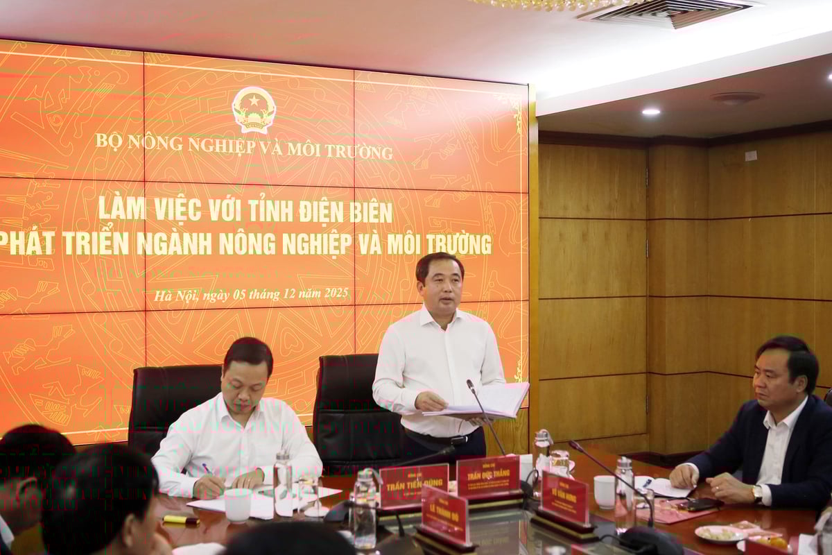 Bộ trưởng Trần Đức Thắng phát biểu tại cuộc họp. Ảnh: Quang Huy.