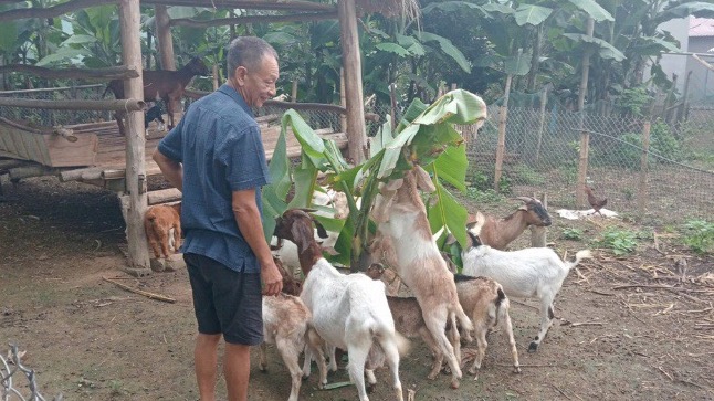 Khai thác tiềm năng đồi rừng góp phần phát triển kinh tế, giảm nghèo bền vững - Ảnh 1. Khai thác tiềm năng đồi rừng góp phần phát triển kinh tế, giảm nghèo bền vững - Ảnh 1.