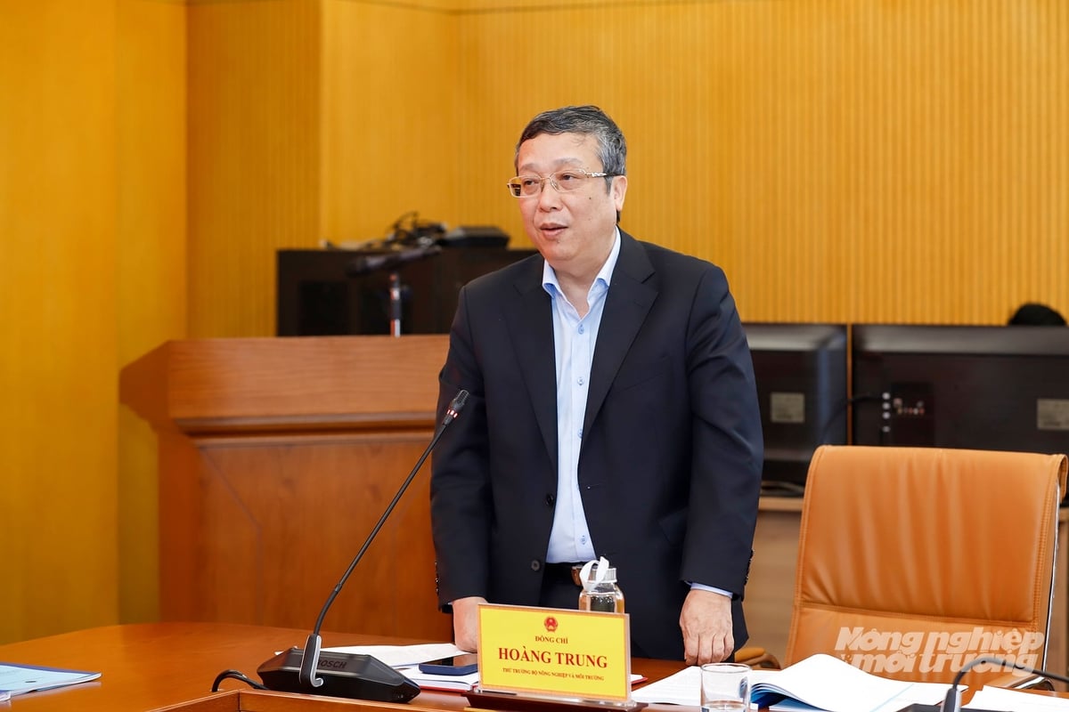 Thứ trưởng Hoàng Trung đề nghị các cục chuyên ngành rà soát toàn bộ các văn bản quy phạm pháp luật thuộc lĩnh vực quản lý của mình. Ảnh: Khương Trung. Thứ trưởng Hoàng Trung đề nghị các cục chuyên ngành rà soát toàn bộ các văn bản quy phạm pháp luật thuộc lĩnh vực quản lý của mình. Ảnh: Khương Trung.