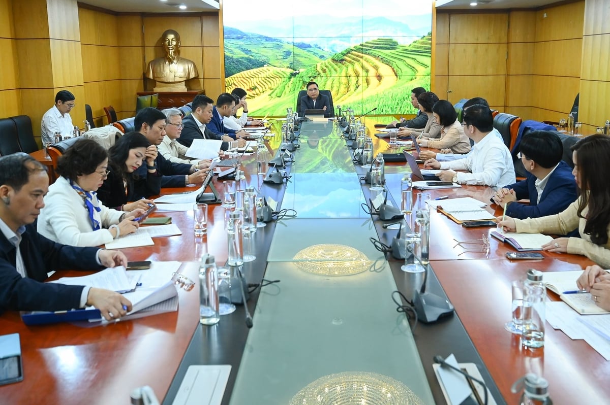 Thứ trưởng Nguyễn Quốc Trị chủ trì buổi làm việc triển khai nhiệm vụ trọng tâm năm 2026 của Cục Bảo tồn thiên nhiên và Đa dạng sinh học. Ảnh: Tùng Đinh.