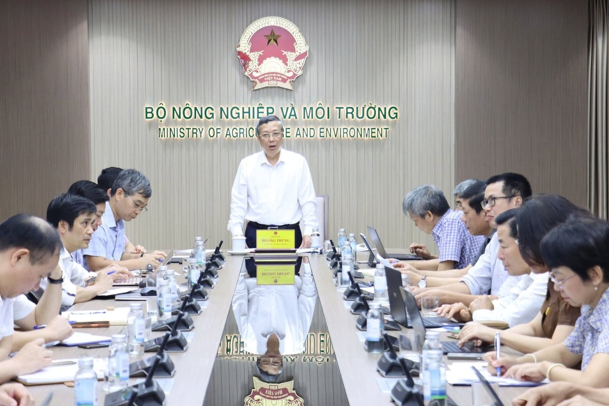 Thứ trưởng Hoàng Trung chủ trì cuộc họp rà soát hồ sơ phê duyệt kế hoạch khoa học công nghệ 5 năm giai đoạn 2026-2030 và nhiệm vụ khoa học công nghệ năm 2027 của Bộ Nông nghiệp và Môi trường. Ảnh: Nguyễn Thủy. Thứ trưởng Hoàng Trung chủ trì cuộc họp rà soát hồ sơ phê duyệt kế hoạch khoa học công nghệ 5 năm giai đoạn 2026-2030 và nhiệm vụ khoa học công nghệ năm 2027 của Bộ Nông nghiệp và Môi trường. Ảnh: Nguyễn Thủy.