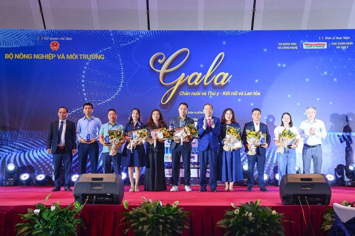 Các nhà tài trợ được vinh danh tại đêm Gala. Ảnh: Tùng Đinh. Các nhà tài trợ được vinh danh tại đêm Gala. Ảnh: Tùng Đinh.