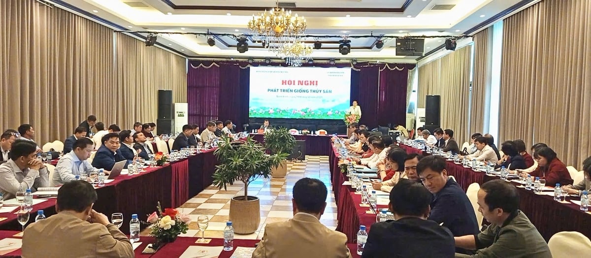 Hà Nội tập trung phát triển các loài thủy sản nước ngọt truyền thống như cá trắm cỏ, cá chép, cá rô phi, với sản lượng giống năm 2025 ước đạt hơn 1,45 tỷ con. Ảnh: HN. Hà Nội tập trung phát triển các loài thủy sản nước ngọt truyền thống như cá trắm cỏ, cá chép, cá rô phi, với sản lượng giống năm 2025 ước đạt hơn 1,45 tỷ con. Ảnh: HN.