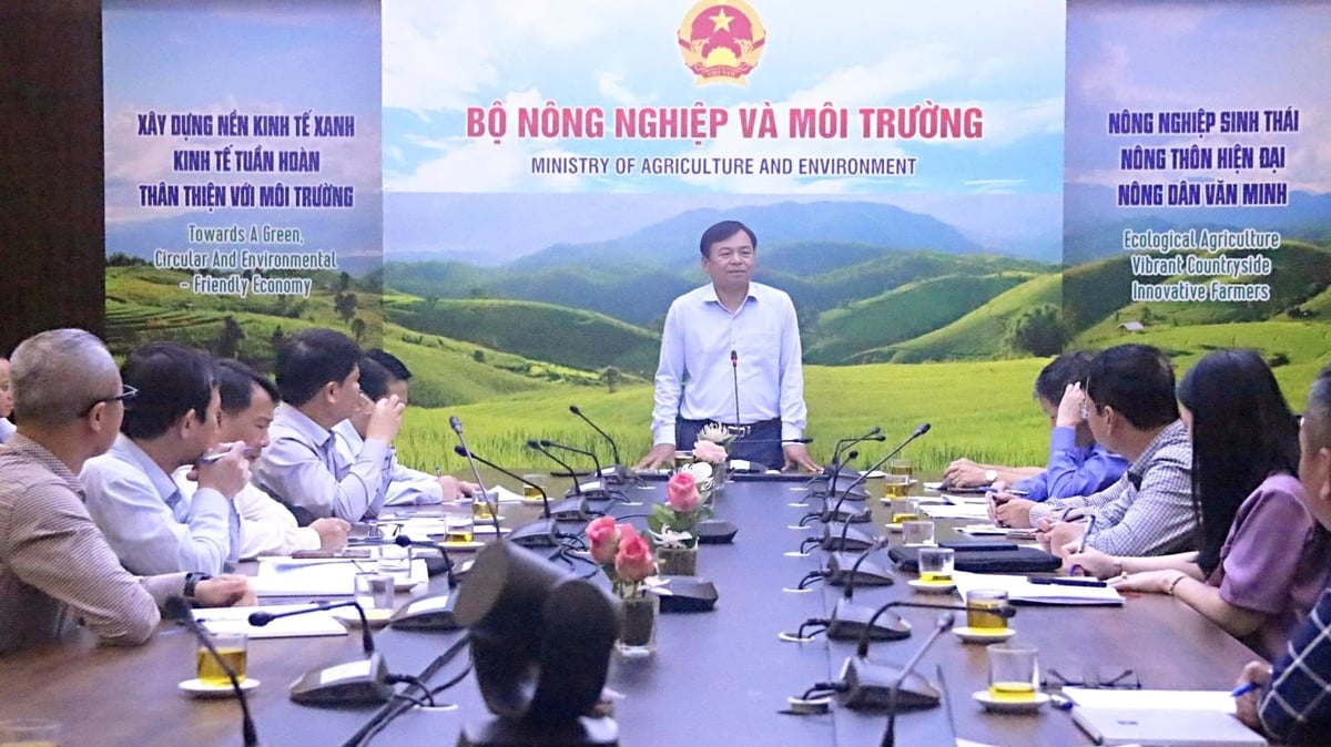 Thứ trưởng Nguyễn Hoàng Hiệp đánh giá cáo những kết quả các đơn vị đã đạt được trong năm 2025. Ảnh: Trung Hiếu.