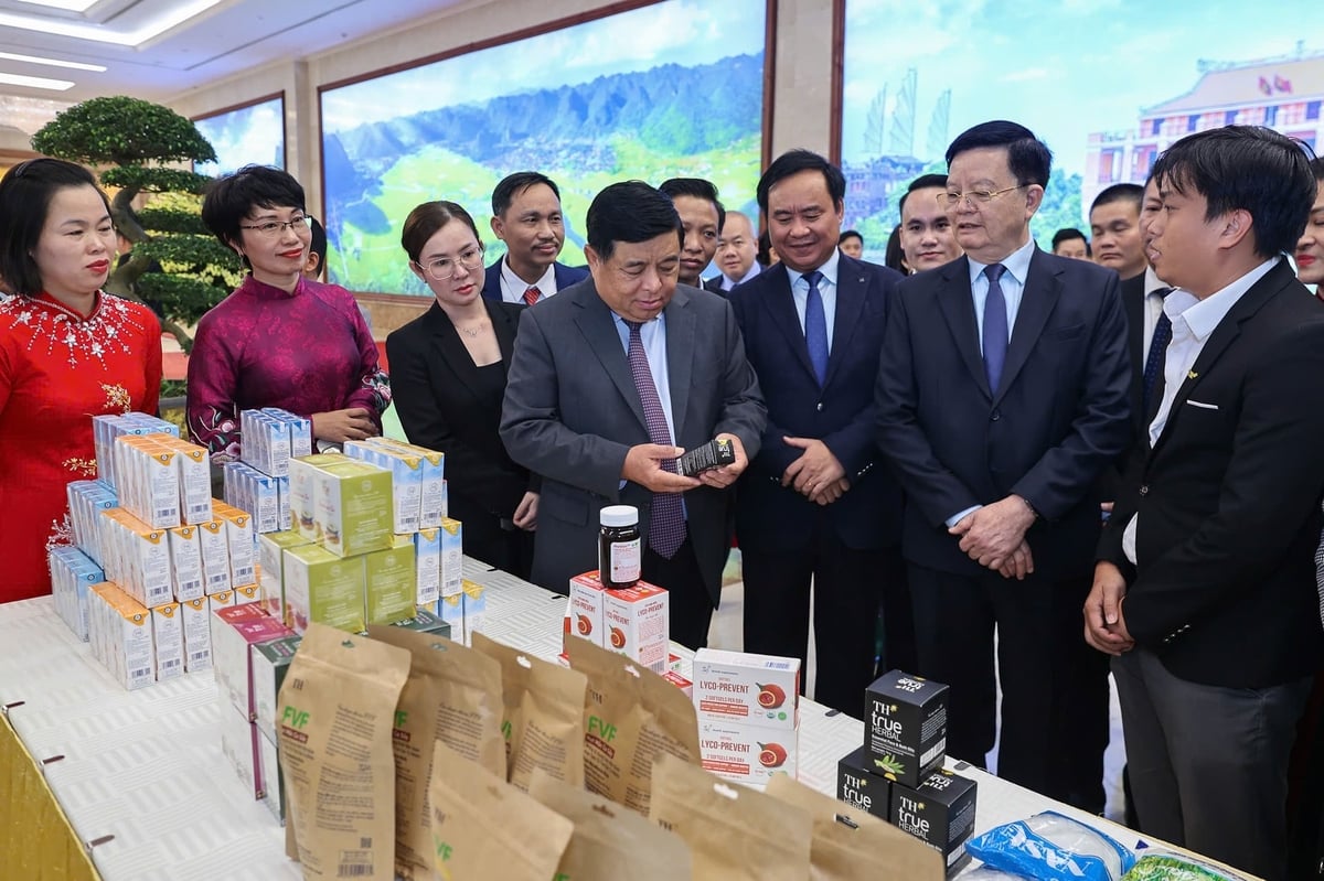 Gần 3.000 dự án liên kết theo Nghị định 98 đã được triển khai, huy động hơn 15.000 tỷ đồng, trong đó 79% là vốn đối ứng từ doanh nghiệp, hợp tác xã và người dân. Gần 3.000 dự án liên kết theo Nghị định 98 đã được triển khai, huy động hơn 15.000 tỷ đồng, trong đó 79% là vốn đối ứng từ doanh nghiệp, hợp tác xã và người dân.