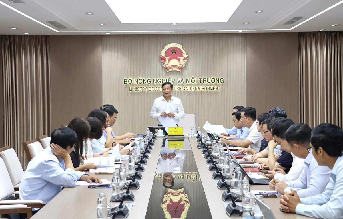 Đại diện các đơn vị trực thuộc Bộ tham dự cuộc họp. Ảnh: Trung Nguyên. Đại diện các đơn vị trực thuộc Bộ tham dự cuộc họp. Ảnh: Trung Nguyên.