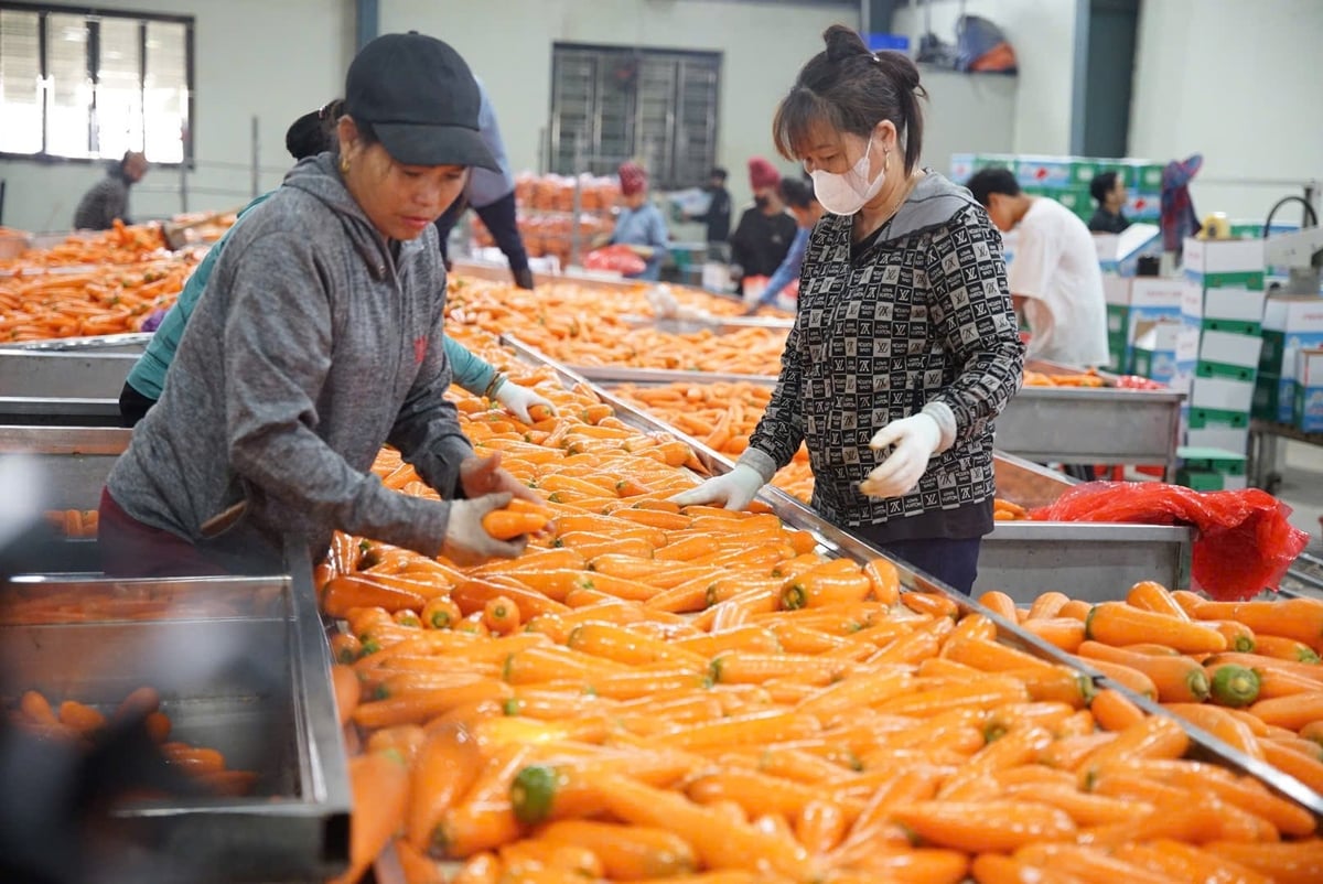 Đổi mới công nghệ góp phần nâng cao chất lượng, giảm thất thoát và lãng phí lương thực thực phẩm. Ảnh: Linh Linh.