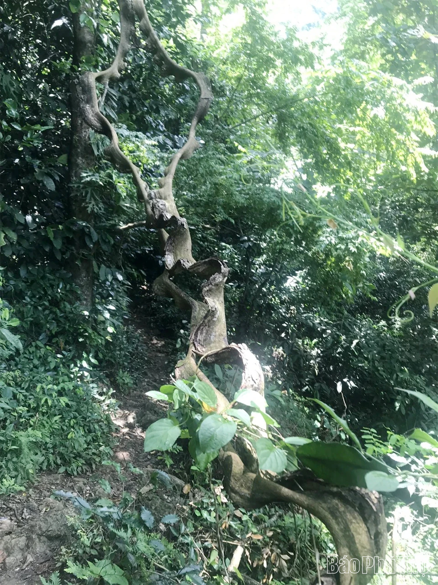 Nơi không gian, thời gian ngưng đọng giữa đại ngàn