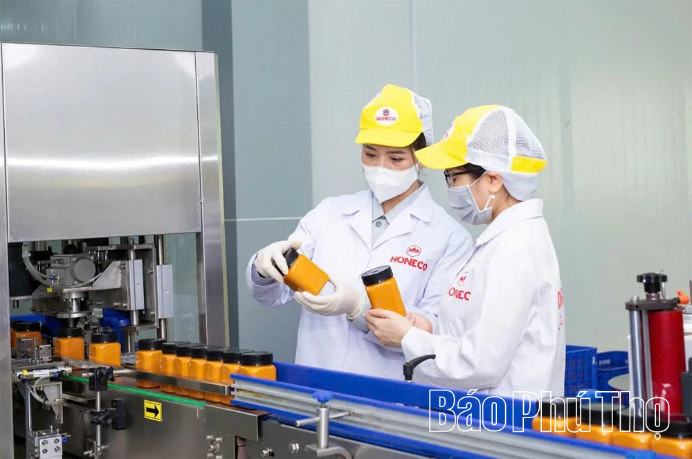 Người đem thương hiệu &ldquo;Mật ong Tam Đảo&rdquo; ra thế giới