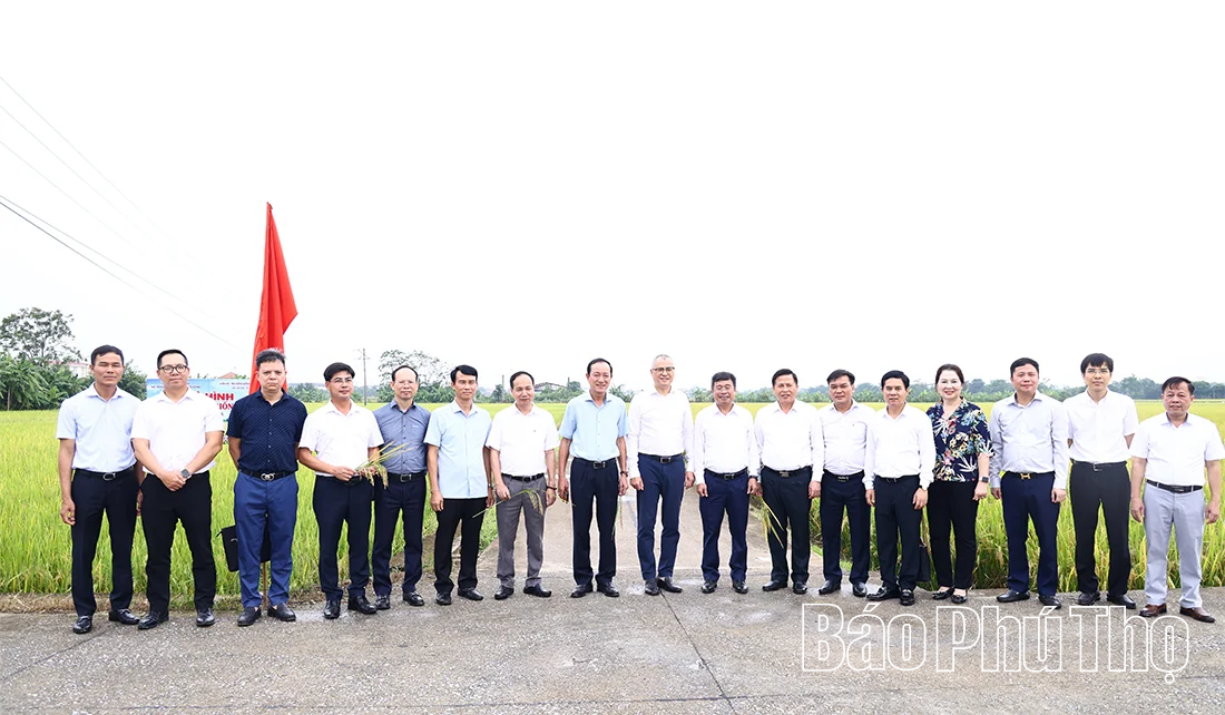 Ứng dụng khoa học công nghệ để nhân rộng mô hình sản xuất nông nghiệp hiệu quả