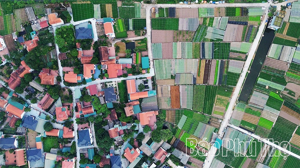 Đặc sản “lên sàn”