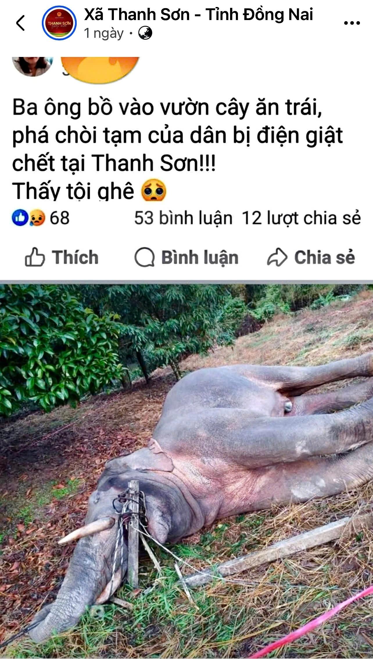 Bà V.T.V. sử dụng tài khoản Facebook cá nhân thông tin sai sự thật về một cá thể voi bị điện giật chết tại xã Thanh Sơn, tỉnh Đồng Nai. Ảnh: CTV