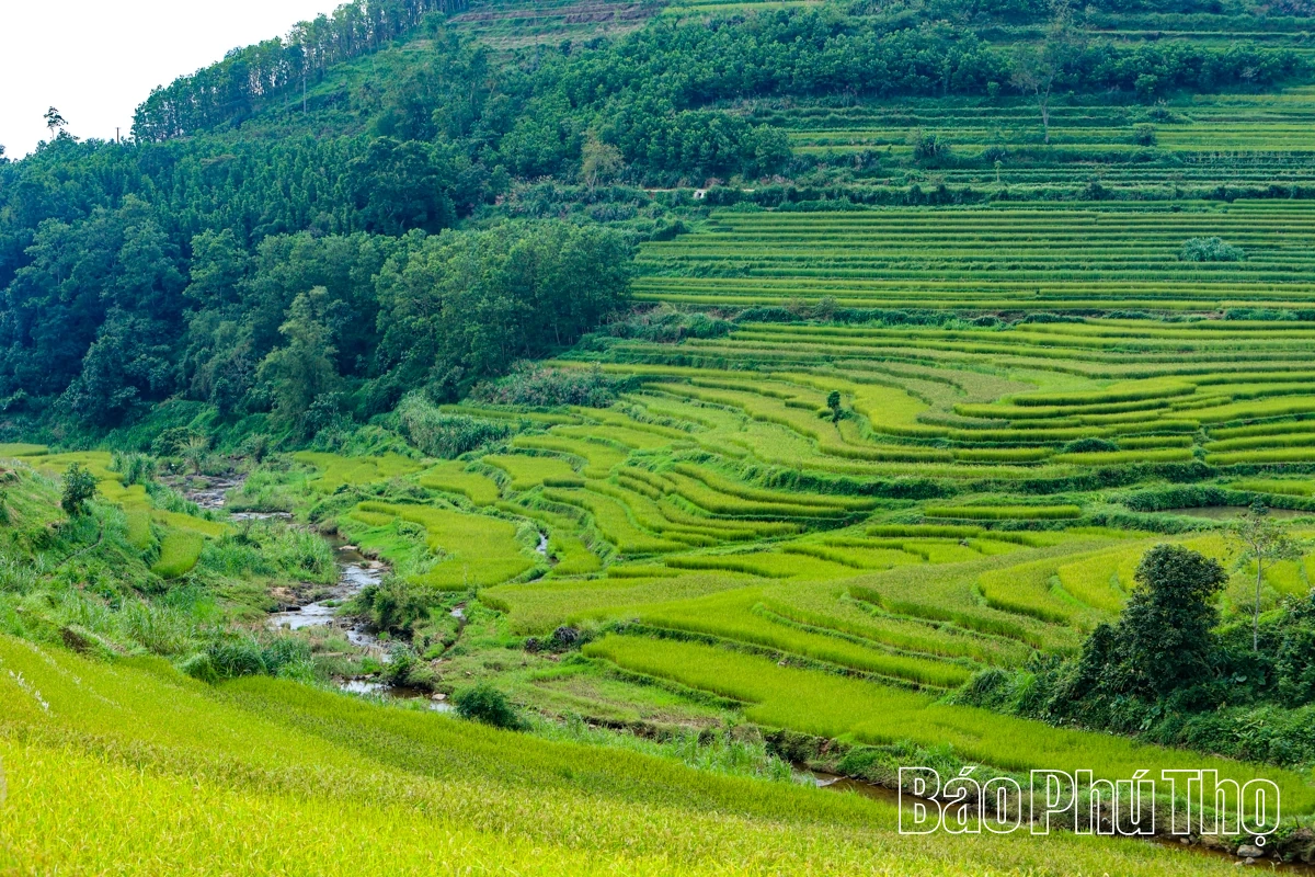 Thả hồn trên đỉnh Miền Đồi