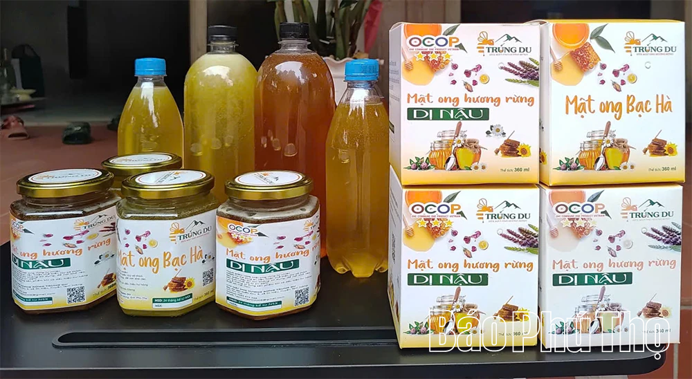 Hương rừng trong từng giọt mật