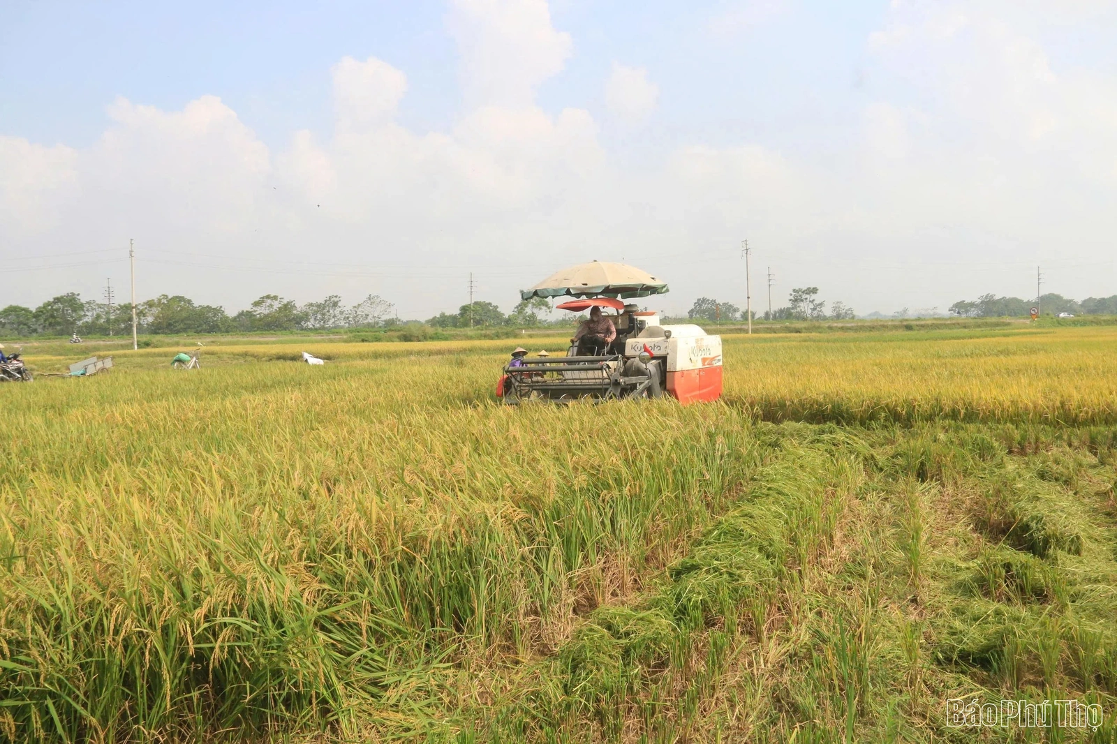 Nâng tầm nông sản