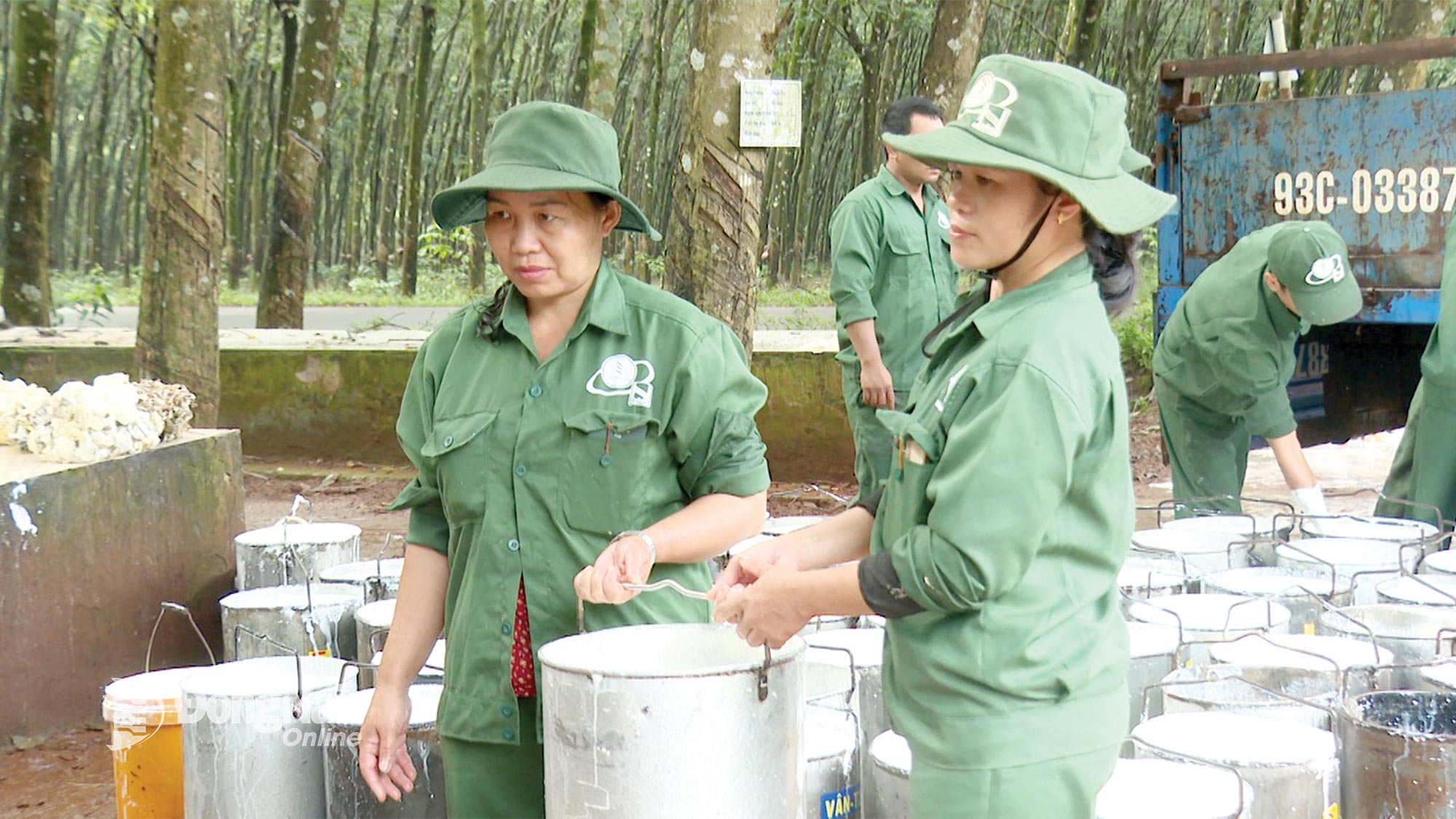 Công nhân Đội Sản xuất Thuận Phú, Công ty cổ phần Cao su Đồng Phú trong giờ giao, nhận mủ cao su. Ảnh: Thanh Lâm