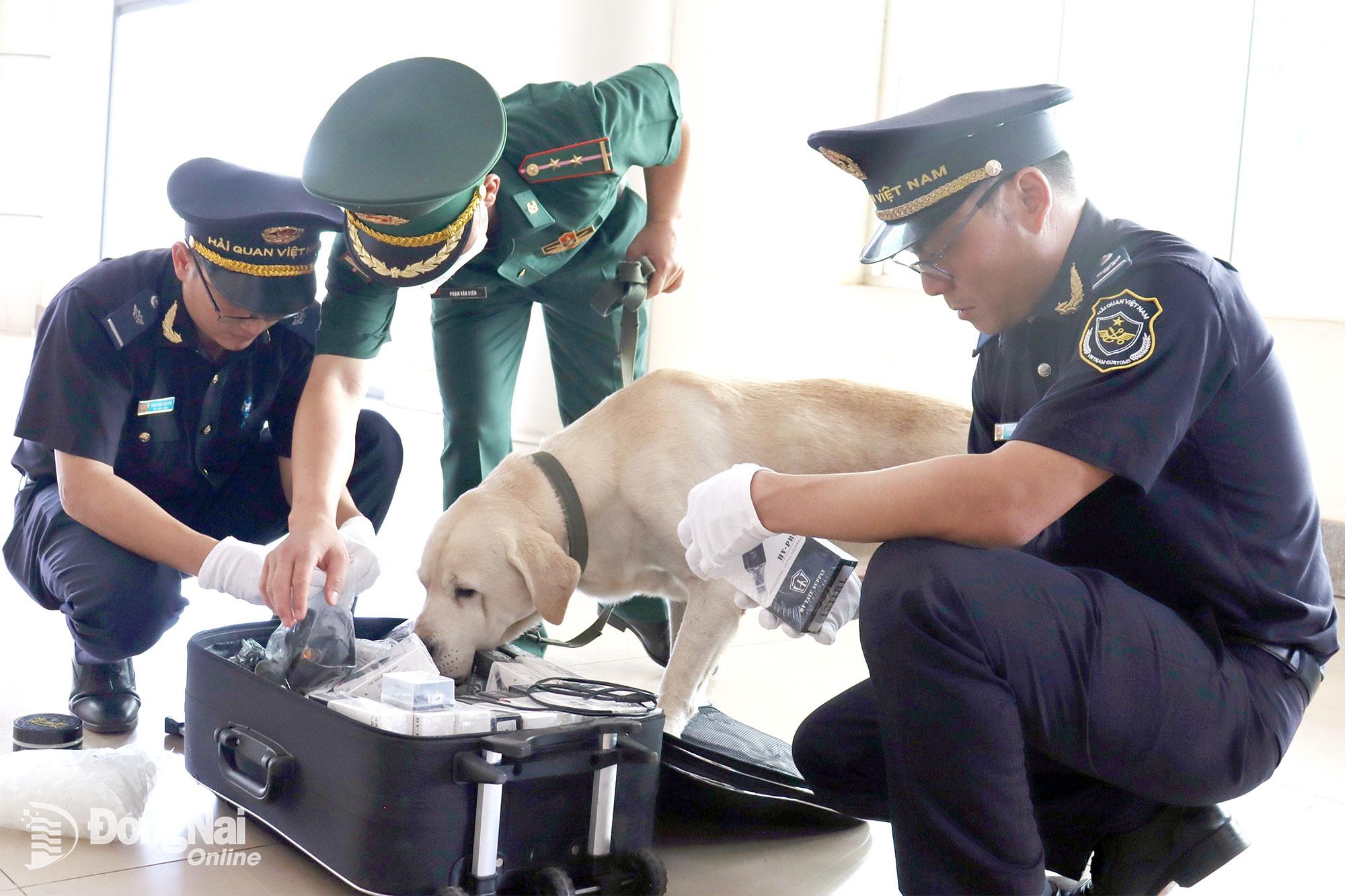 Bộ đội Biên phòng tỉnh kiểm tra đồ đạc của công dân được trao trả qua Cửa khẩu quốc tế Hoa Lư.    