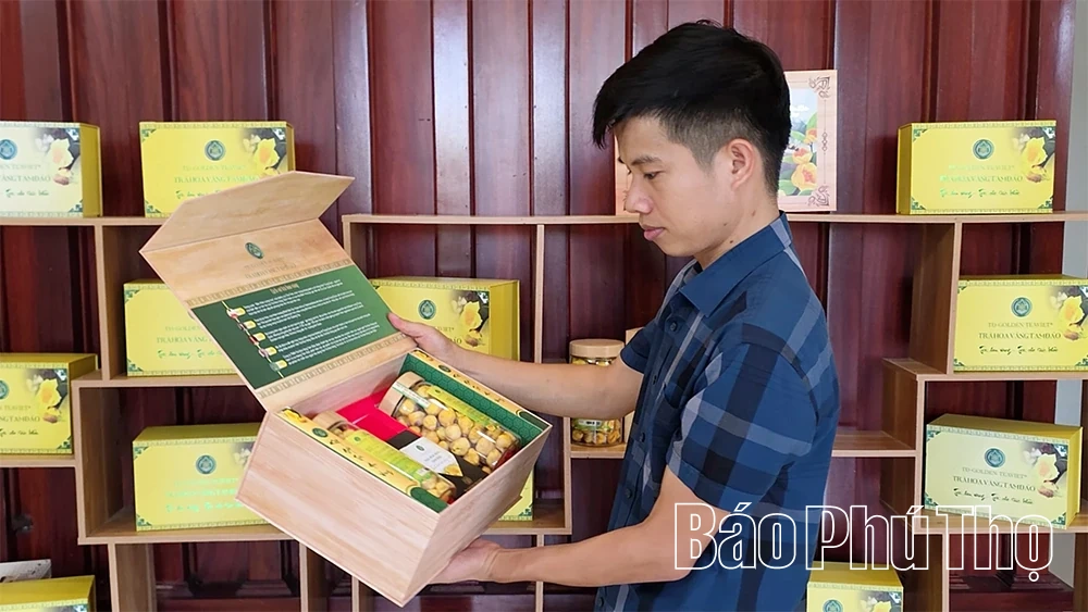 Hành trình cứu cánh “nữ hoàng trà” của chàng kỹ sư trẻ