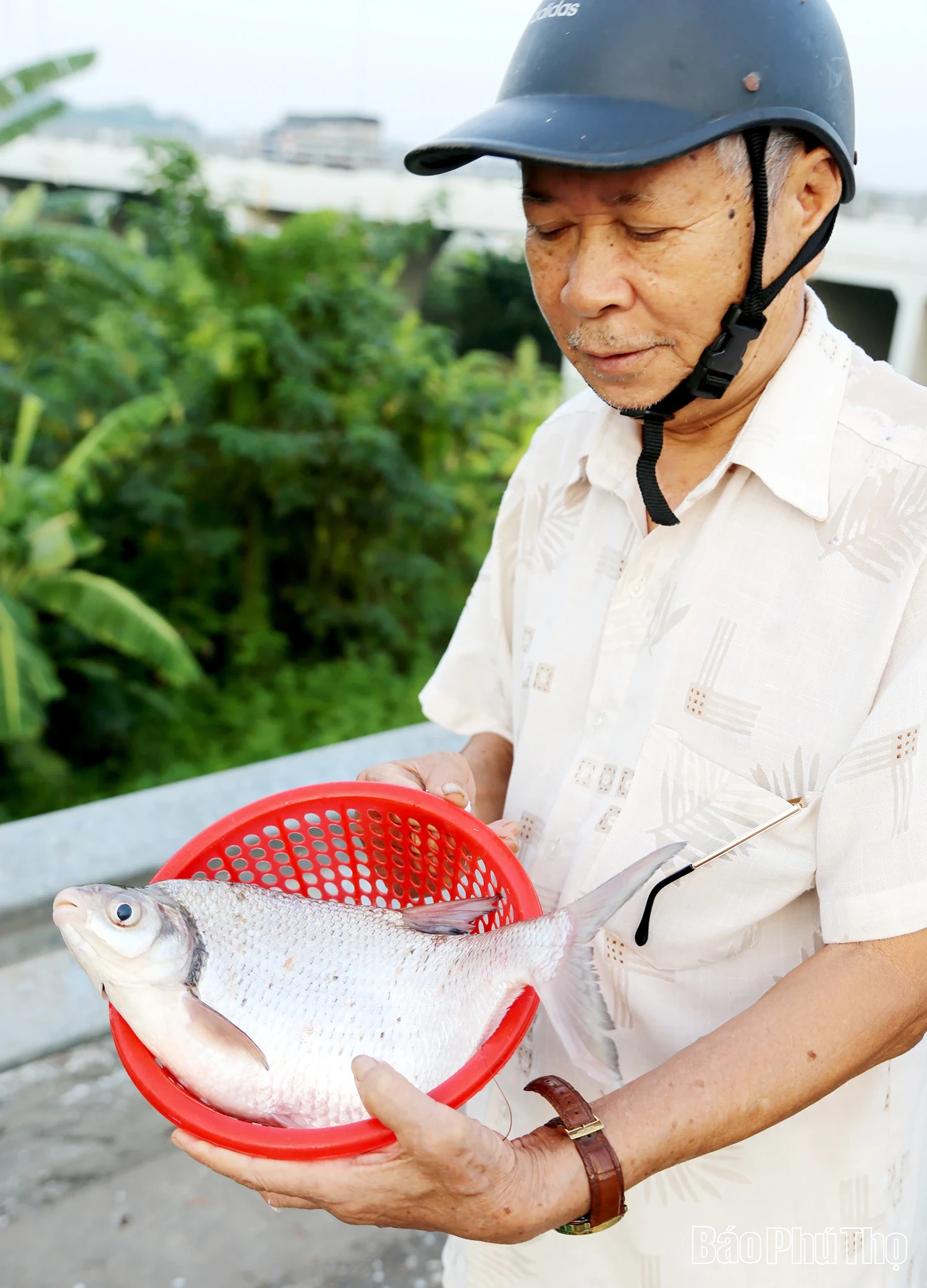 Thưởng thức chả cá Vền sông Lô