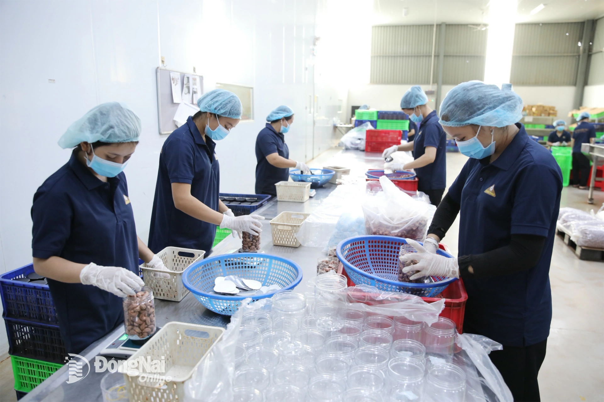 C&ocirc;ng nh&acirc;n C&ocirc;ng ty TNHH Hạt điều Đồng Ph&uacute; (ở x&atilde; Nghĩa Trung, tỉnh Đồng Nai) tăng tốc sản xuất c&aacute;c đơn h&agrave;ng cuối năm. Ảnh: Trương Hiện