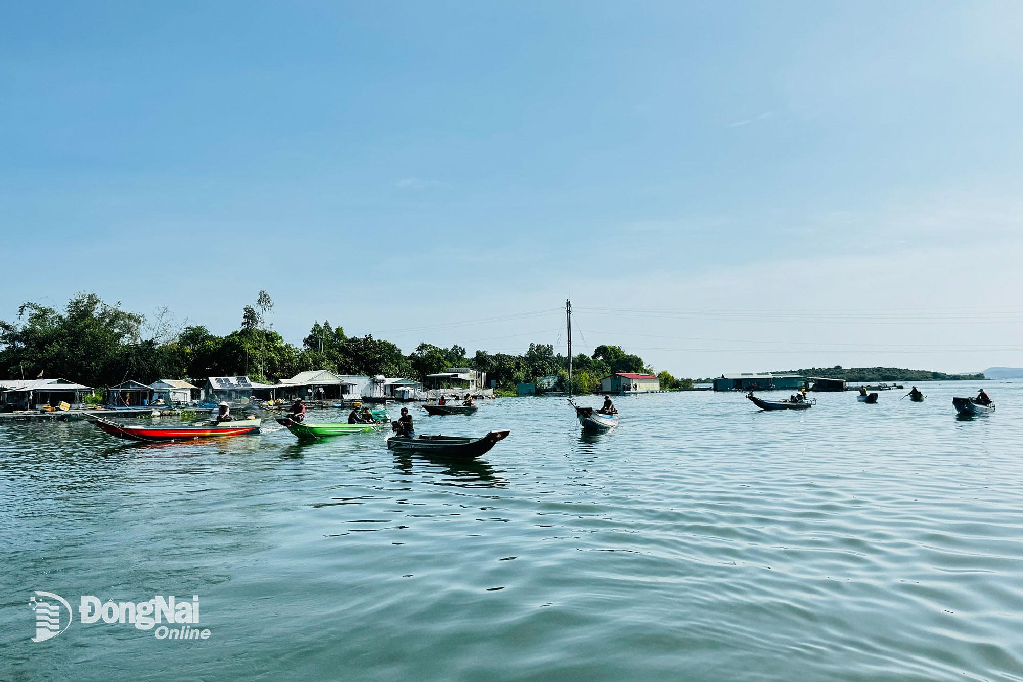 Các hộ nuôi cá lồng bè trên hồ Trị An tại ấp Suối Tượng, xã Trị An đều có thuyền đánh cá, nguồn thu từ hoạt động đánh bắt thủy sản giúp trang trải cuộc sống. Ảnh: B.Nguyên